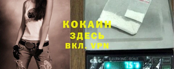 мяу мяу мука Алексин