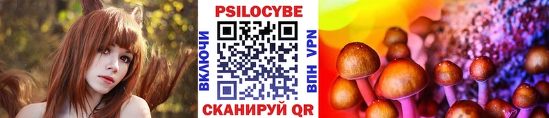 блэк спрут рабочий сайт  Шатура  Галлюциногенные грибы Psilocybine cubensis 